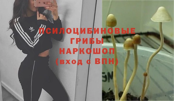 гашиш Осинники