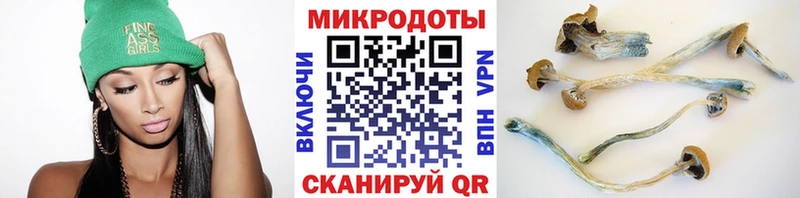 Псилоцибиновые грибы мухоморы  Чкаловск 
